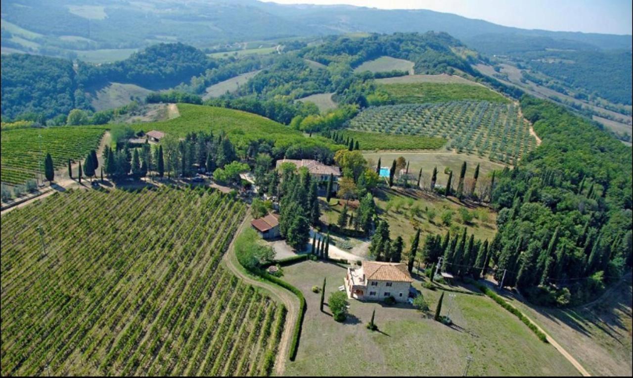 Fattoria Il Piano - Lavanda - * San Gimignano