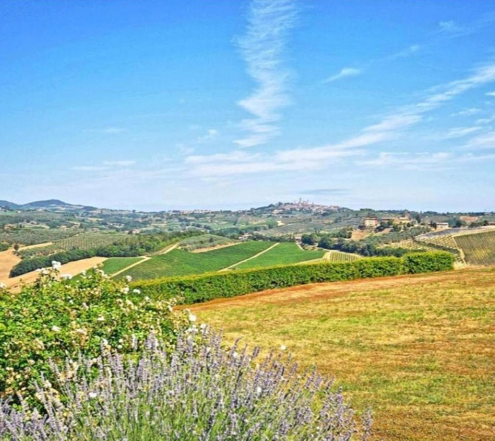 Apartment Fattoria Il Piano - Lavanda - *
