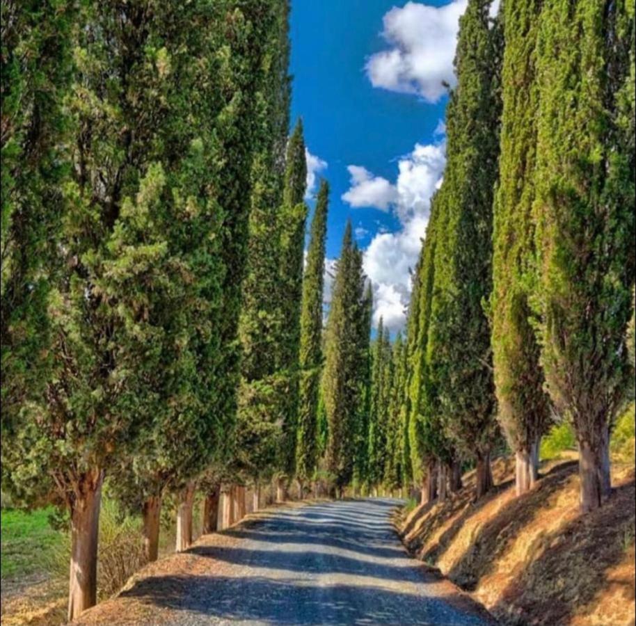 Fattoria Il Piano - Lavanda - *