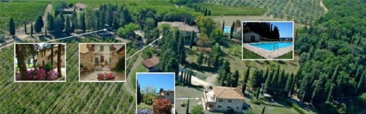 Fattoria Il Piano - Lavanda - Apartment