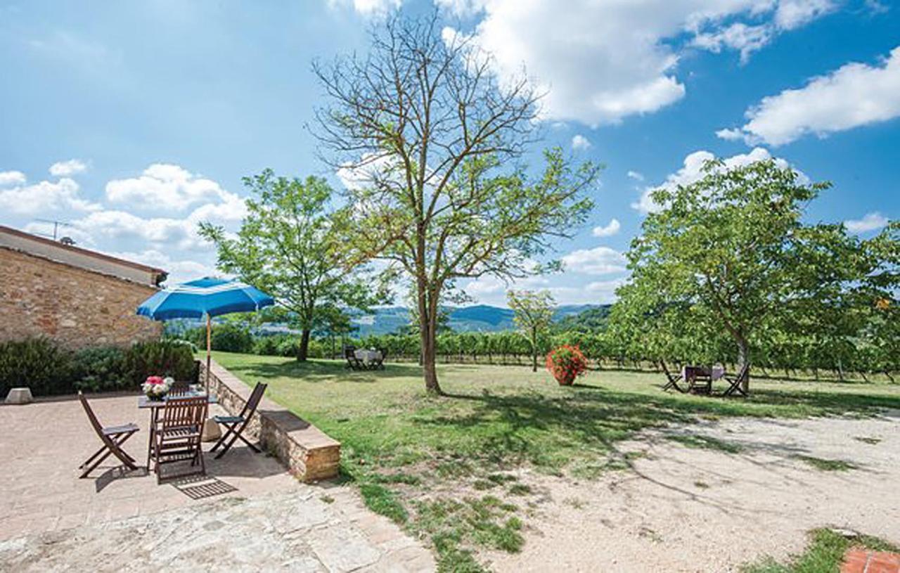 Apartment Fattoria Il Piano - Lavanda - San Gimignano