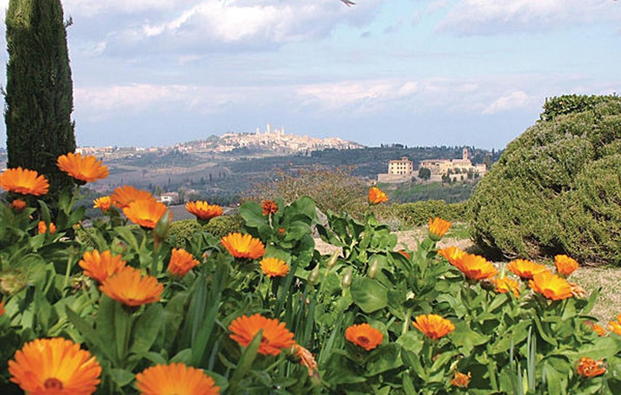 Apartment Fattoria Il Piano - Lavanda - San Gimignano